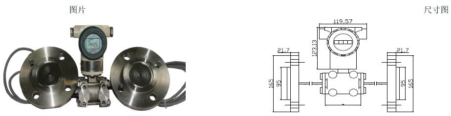 FG400-RD 双法兰隔膜差压（液位）变送器(图1)